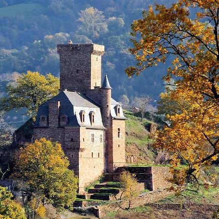 Chateau La Servayrie - Chambre D'Hotes Marcillac-Vallon Zewnętrze zdjęcie