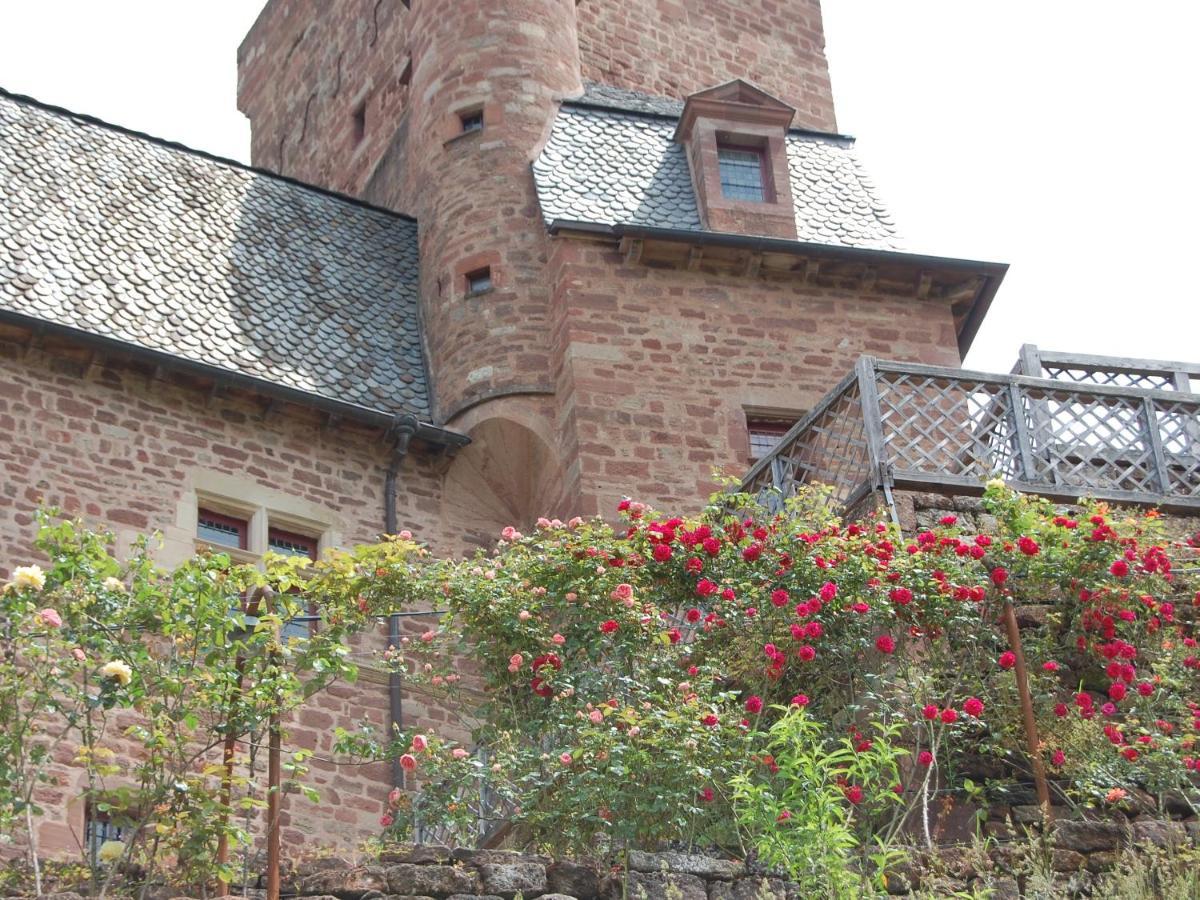 Chateau La Servayrie - Chambre D'Hotes Marcillac-Vallon Zewnętrze zdjęcie