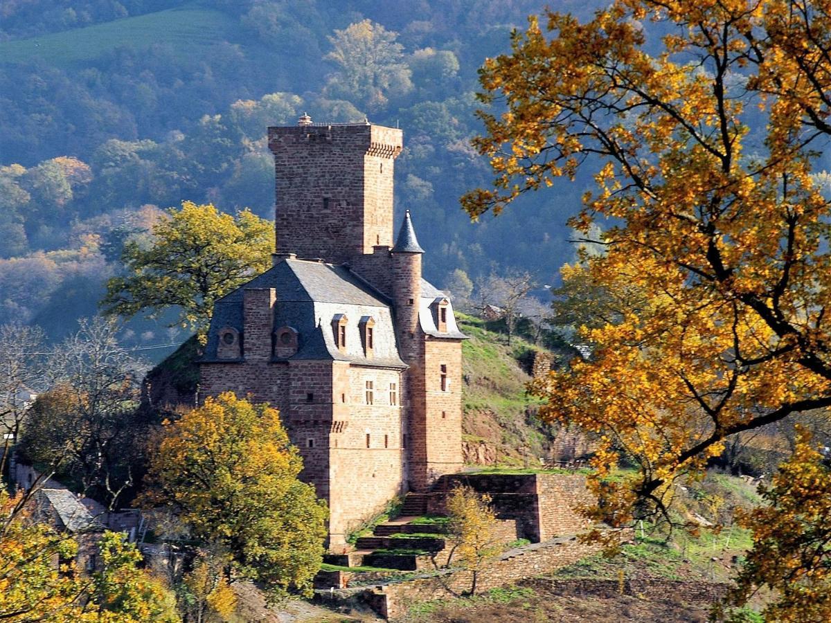 Chateau La Servayrie - Chambre D'Hotes Marcillac-Vallon Zewnętrze zdjęcie